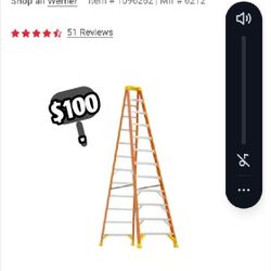 12 Ft Warner Ladder $100