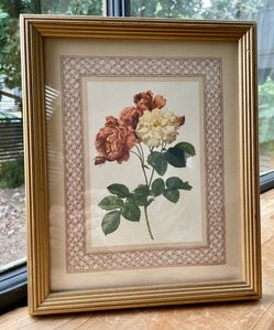 Vintage Pierre-Joseph Redouté “Rosa Damascena” Botanical Lithograph