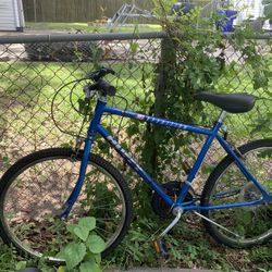 Bicycle 