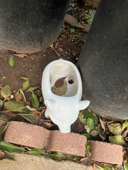 Small White Ceramic Pig Planter