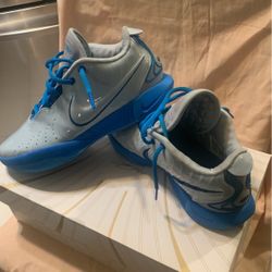 Lebron James XXl Shoes