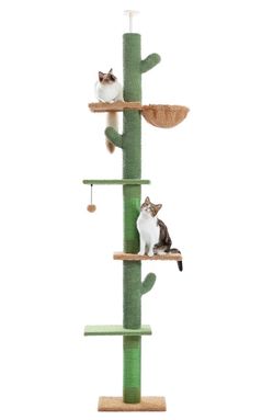 Cat Tree