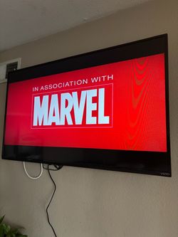 48 inch TV