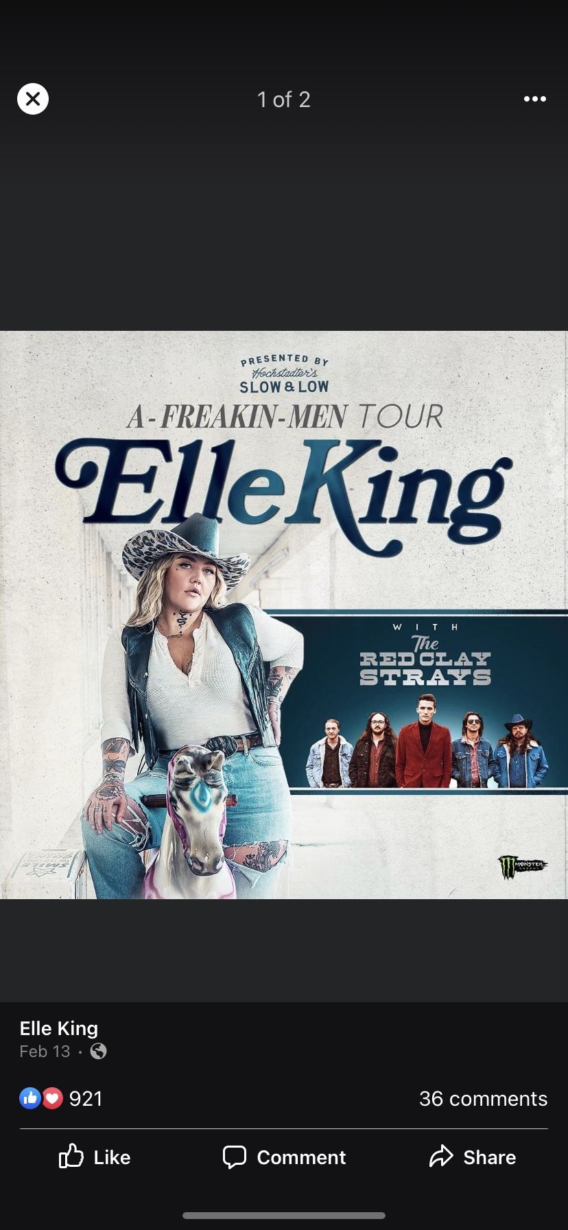 Elle King Concert Ticket For 3/15 general Admission
