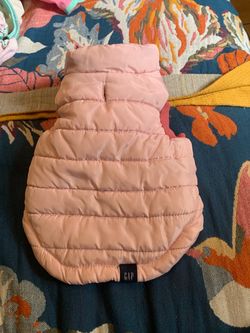 Small to Medium Dog Clothes Bundle – Dresses, Sweaters & Costumes