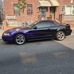 2004 mustang Gt Convertible $7500