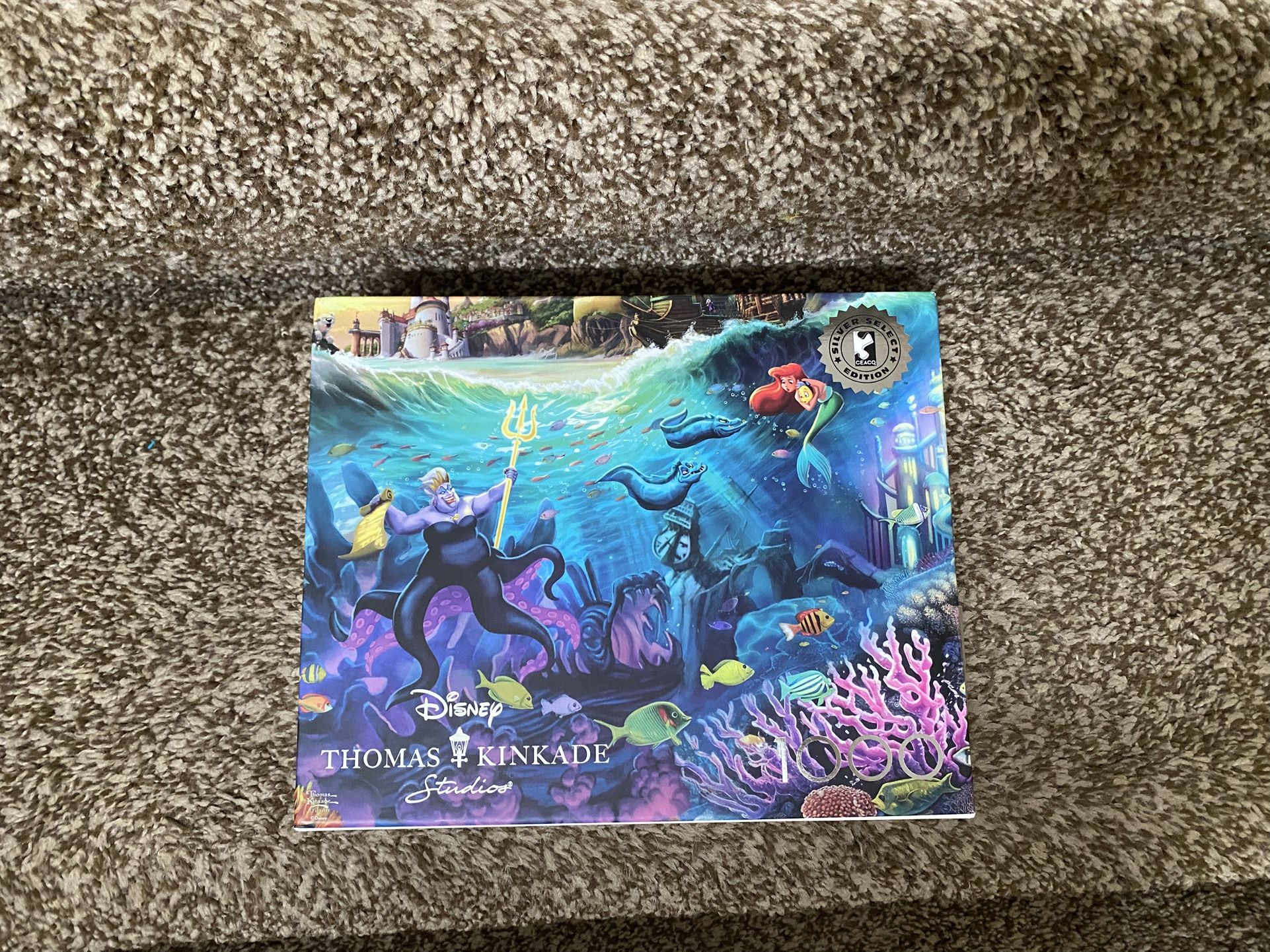 Little Mermaid Puzzle