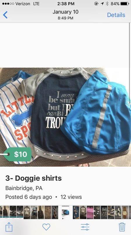 Dog outfits