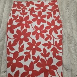 Ladies Skirts. Like New