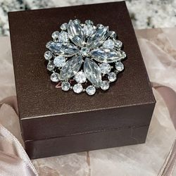 Beautiful Brooch 