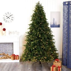 Christmas Tree!