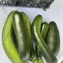 Tengo Calabacitas Tiernas A La Venta.  