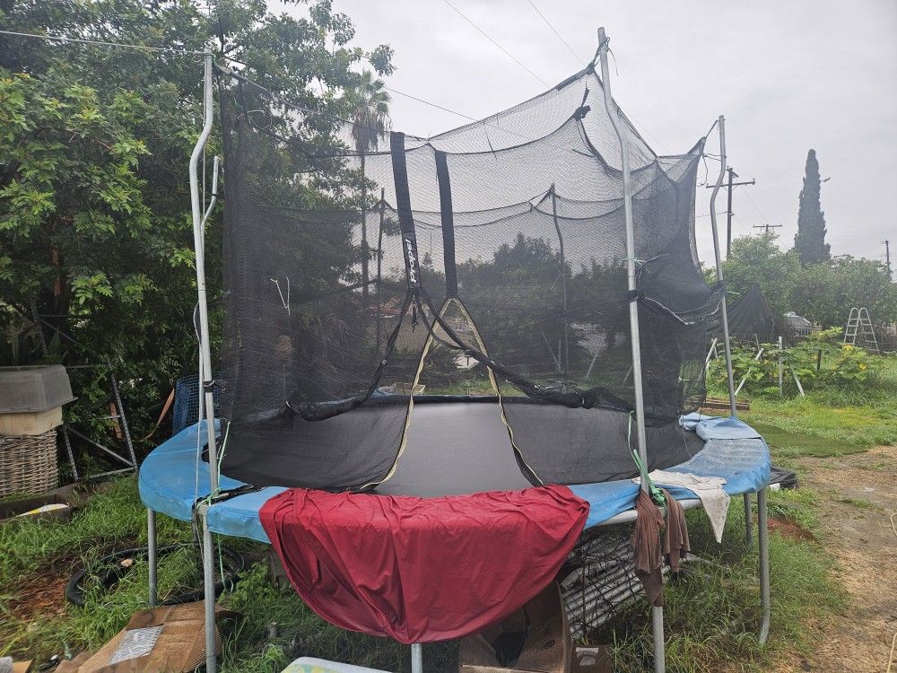 trampoline