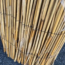 Reed Fencing