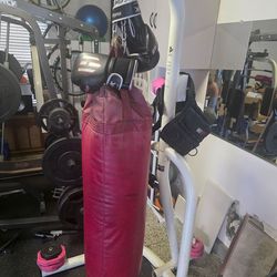 Standing punching bag