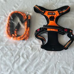 Dog Collar And Leash Size Large