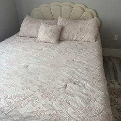 Queen Bed/ Velvet/beige/cream