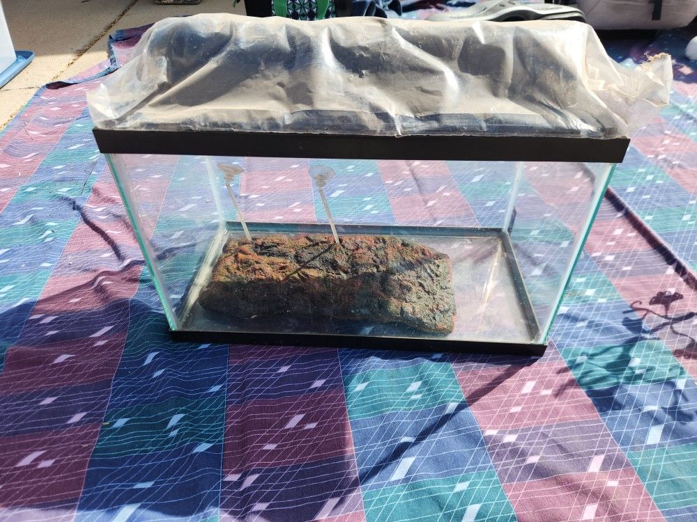 10 Gallon Turtle Tank