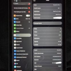 Ipad Pro 11inch Wifi+cellular 5g Unlocked