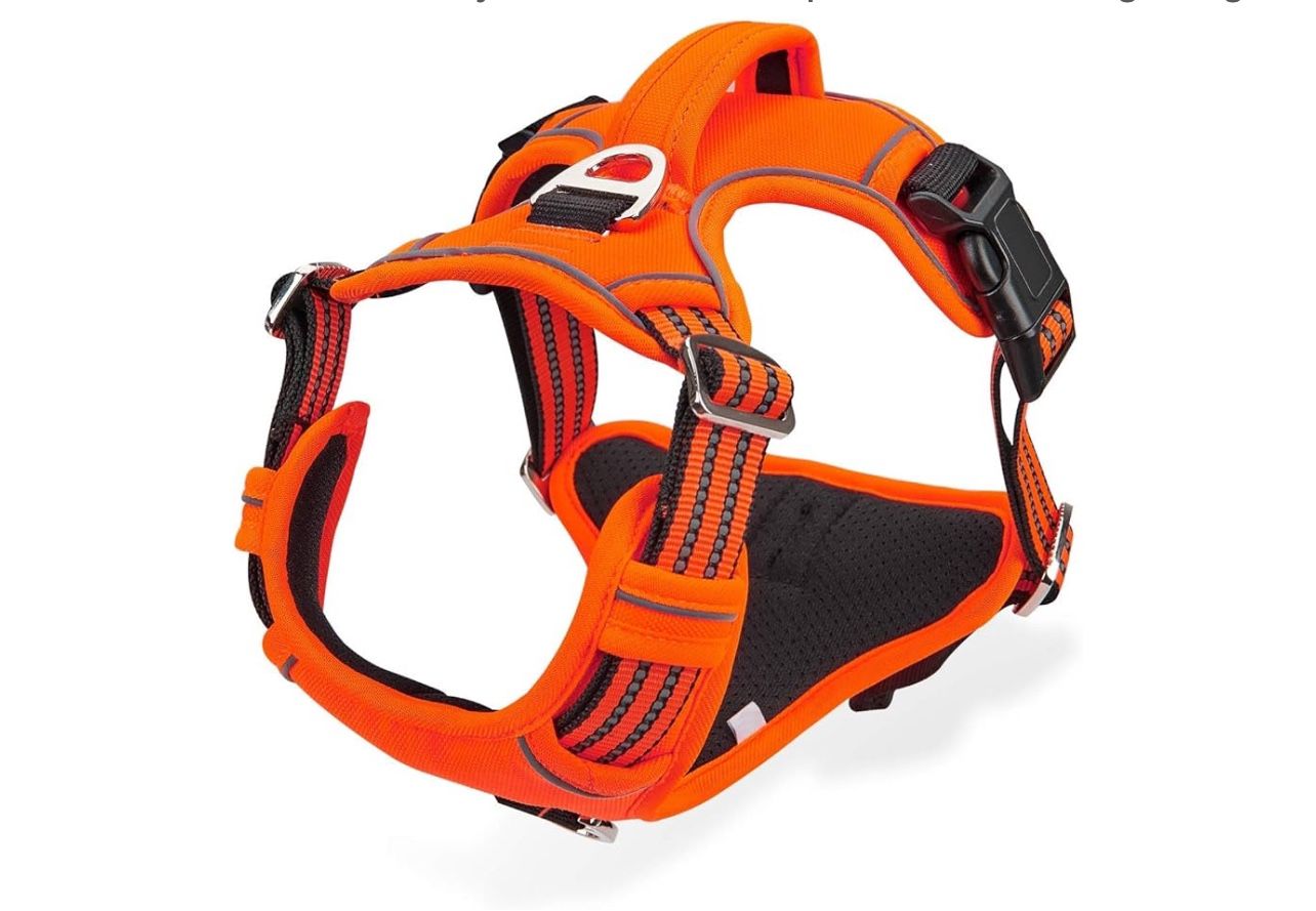 No Pull Dog Harness Extra Large