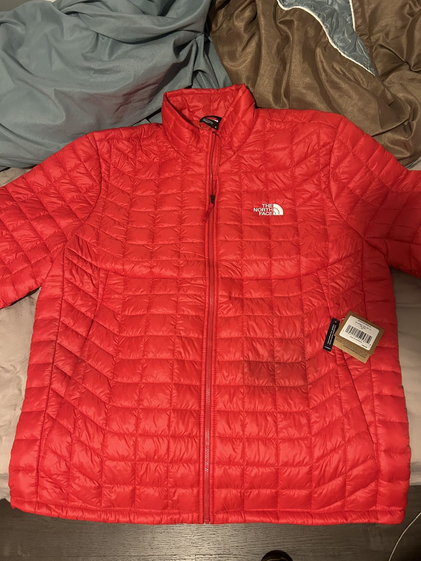 North face Winter Jacket