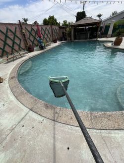 Swimming Pool Parts