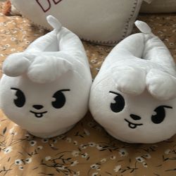 Stray kids slippers