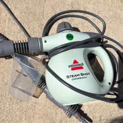 Steam Bissel