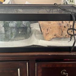Reptile Enclosure