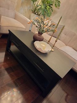 Storage Coffee Table