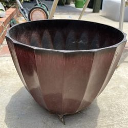 Pot For Plant