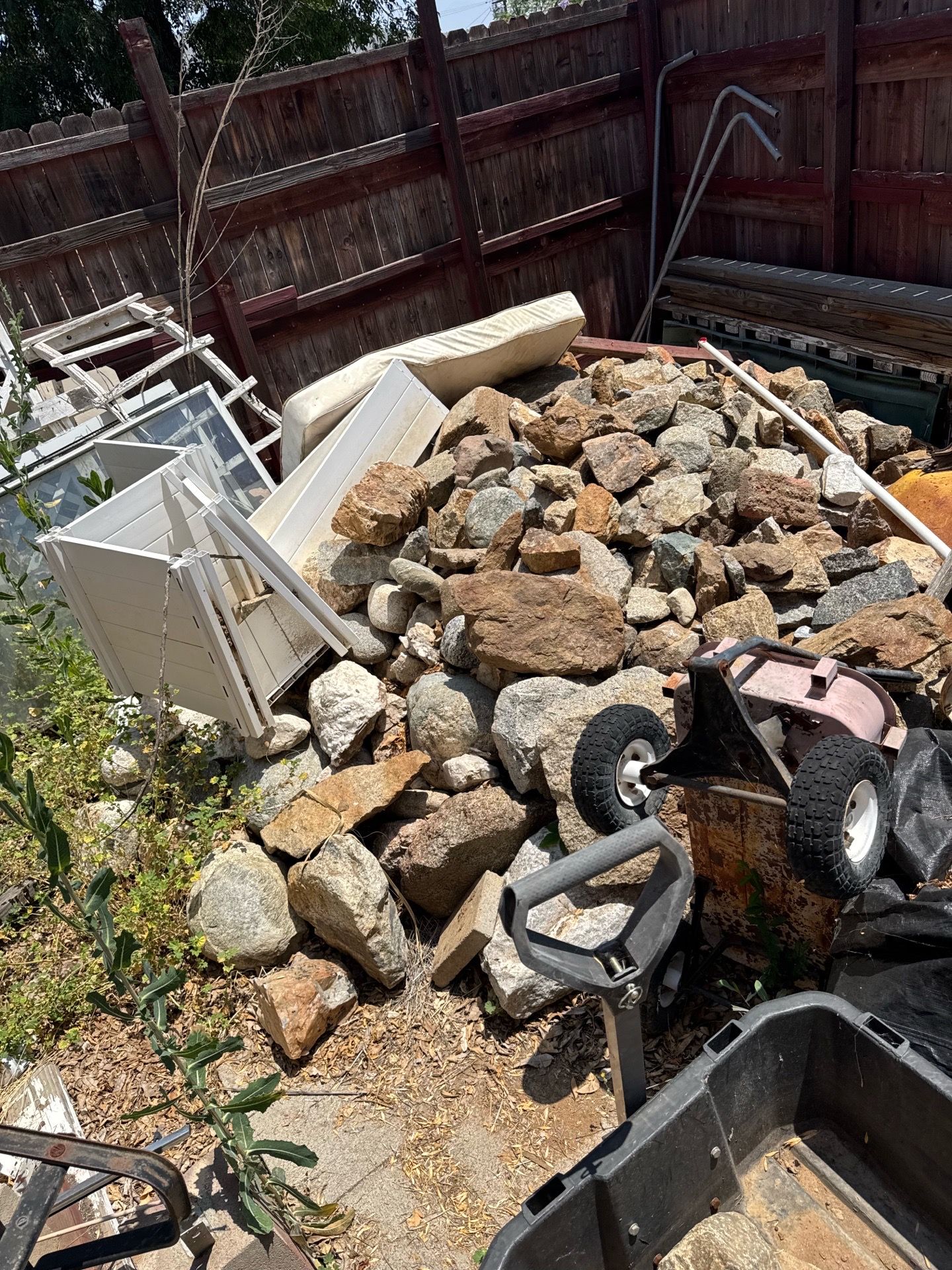 Rocks! Free!