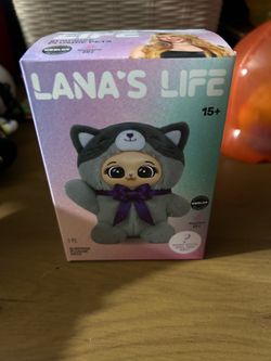 Key chain blind boxes