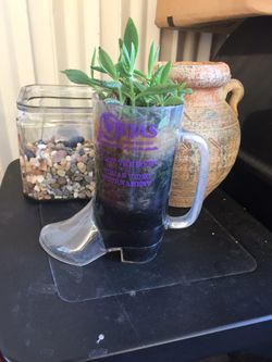 Boot has established plant into it