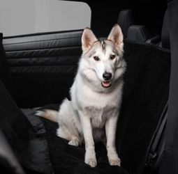 Tesla Cybertruck Interior Pet Liner