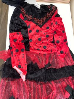 Ladybug costume