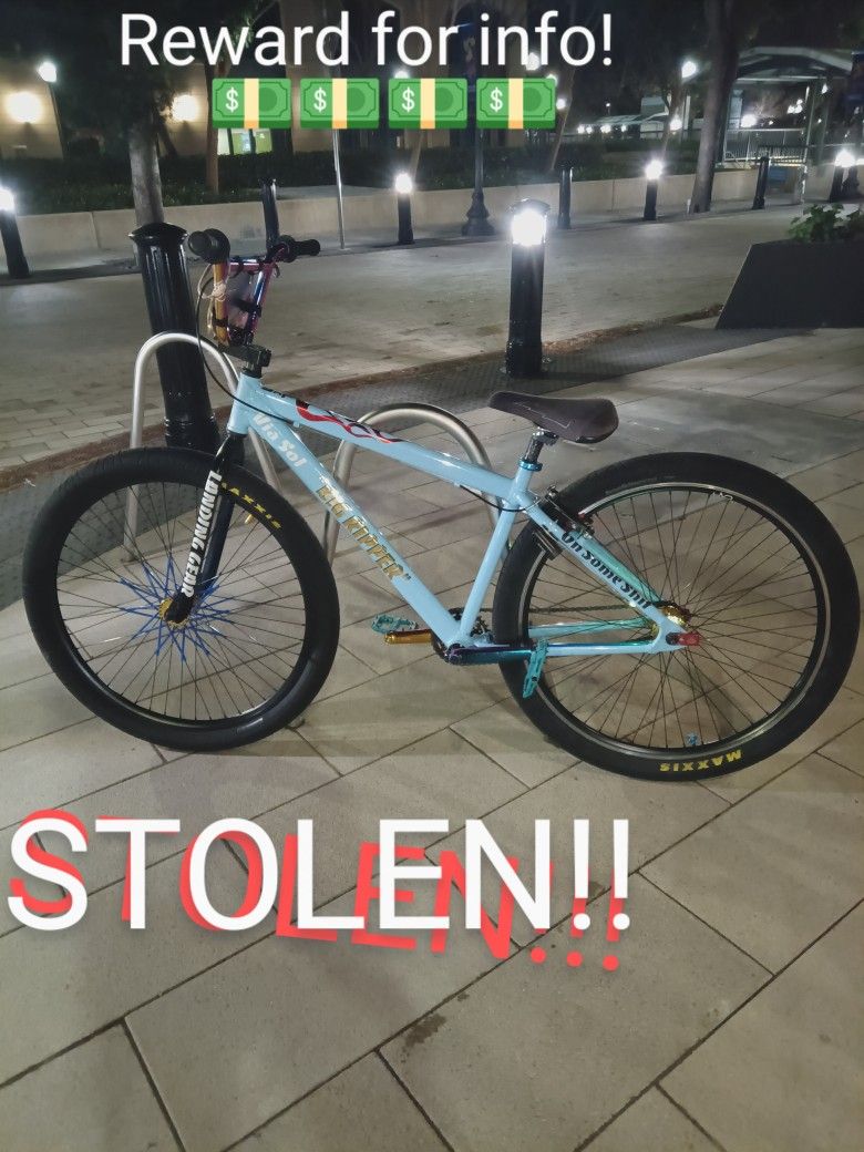 REWARD FOR ANY INFO ON DUDE!