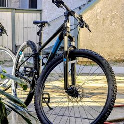 Marin Bobcat Trail 3 