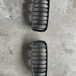 Kidney Grills