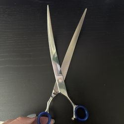 Scissors Super Curve For GROOMING
