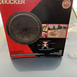 12’ Kicker Subwoofer 