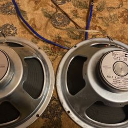 VINTAGE CELESTION SPEAKERS G12-30’s