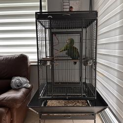Bird Cage 
