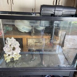 Fish Tank 55 Gal