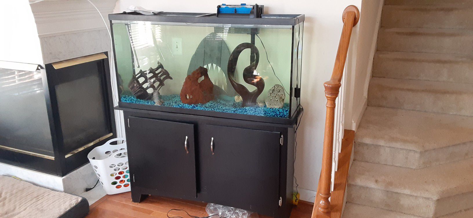 55 Gallon Fish Tank
