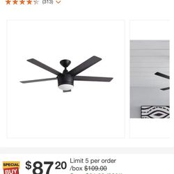 Fan