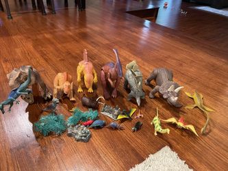 Dinosaur Set