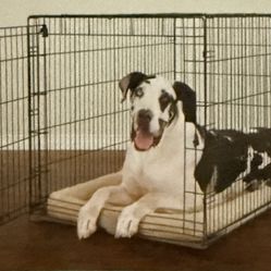 Large 1-door Dog Crate