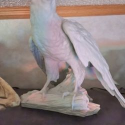 kaiser porcelain german hawk statue