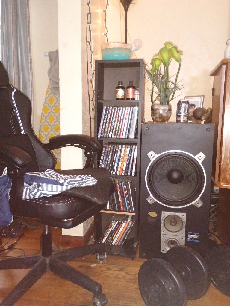 Collection Of DVDs For Free